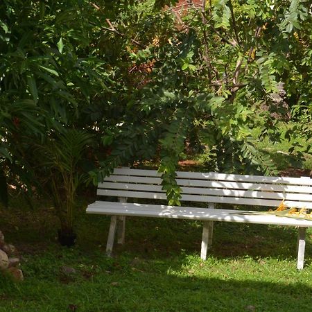 Residence De Vacances Mon Refuge - Bungalow De Type T3 Grande Anse المظهر الخارجي الصورة