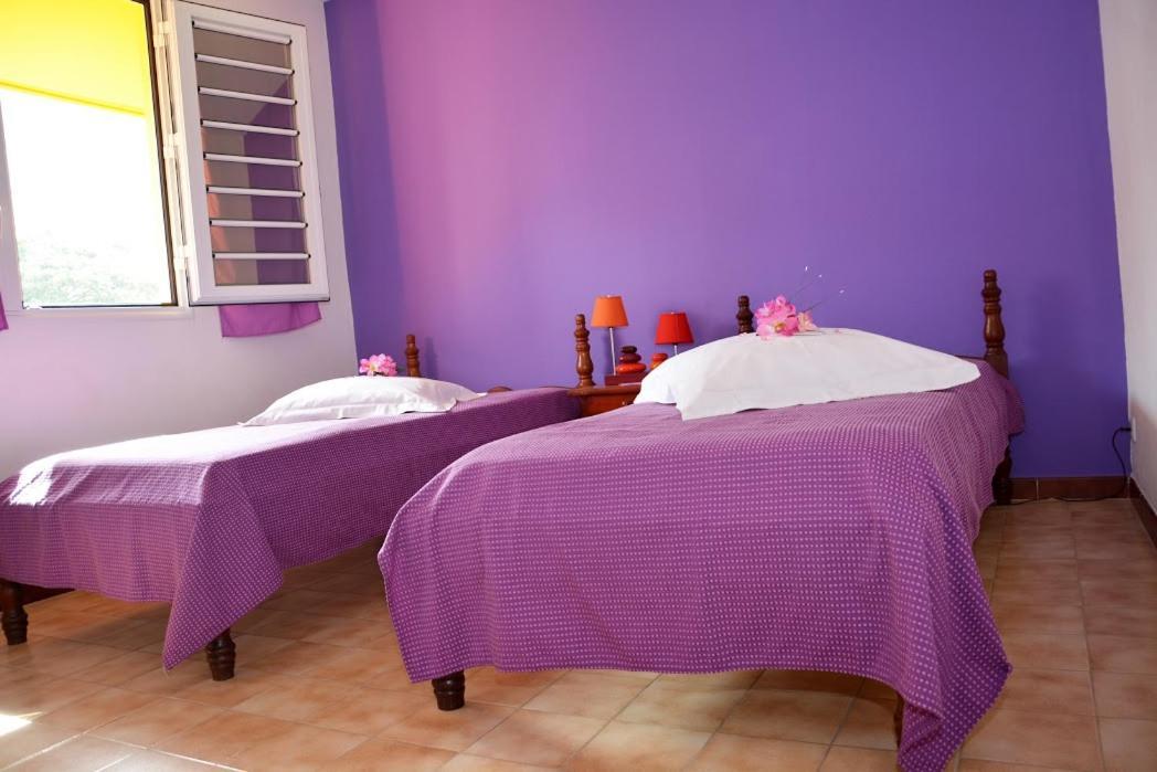 Residence De Vacances Mon Refuge - Bungalow De Type T3 Grande Anse المظهر الخارجي الصورة